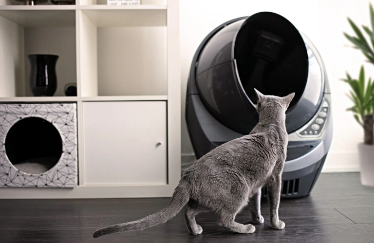 Purchasing Reconditioned/Refurbished Litter-Robot